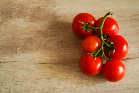 fresh tomato harvest for traditional italian cuisine foods. Organic farming authentic video. Vegetable garden, agriculture farm field scene. Organic fresh harvest in vegetable garden, nutritionの写真素材