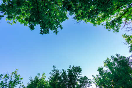 LOOK UPの写真素材