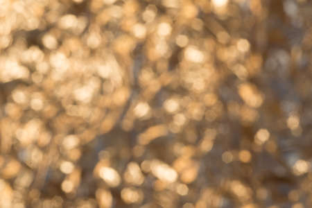 bright colorful abstract color fanziny background in defocusの写真素材