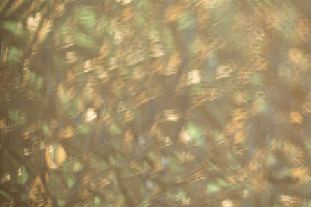 bright colorful abstract color fanziny background in defocusの写真素材