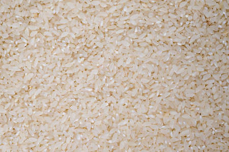 food background of white round rice closeupの写真素材