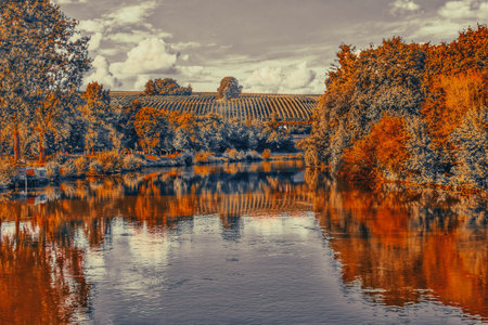 Vibrant Autumn Reflections in River Valleyの写真素材
