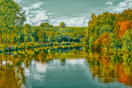 Autumn Vineyards by River in Countrysideの写真素材