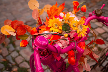 Pink Bicycle with Fall-Themed Basket Displayの写真素材
