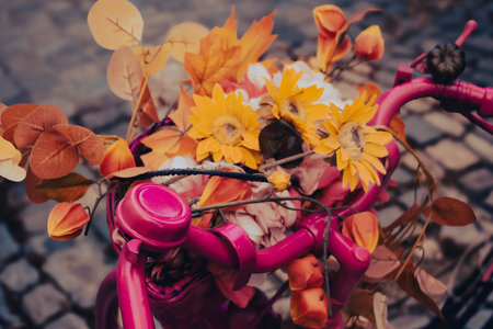 Rustic Pink Bike with Sunflowers and Fall Leavesの写真素材
