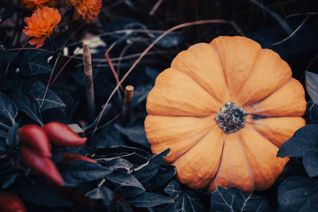 Pumpkin with Chili Peppers and Garden Bloomsの写真素材