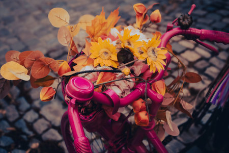 Pink Bicycle with Autumn Flowerの写真素材