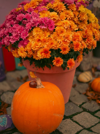 Rustic Autumn Arrangement with Pumpkin and Bloomsの写真素材