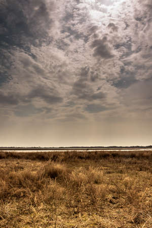 dried field with moody sky before coming rainの写真素材