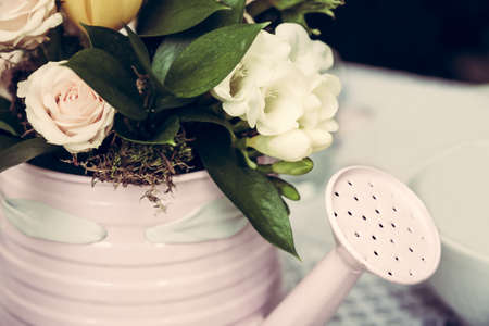 Watering can as flower potの写真素材