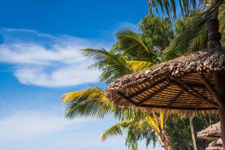 blue sky with palm tree and umbrellaの写真素材
