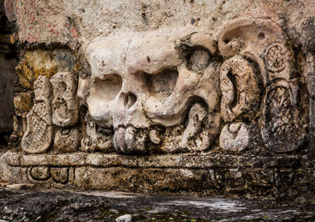 Mayan carvings skullの写真素材