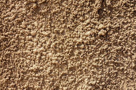 Decorative textured plastered wall that looks like wet sandの写真素材