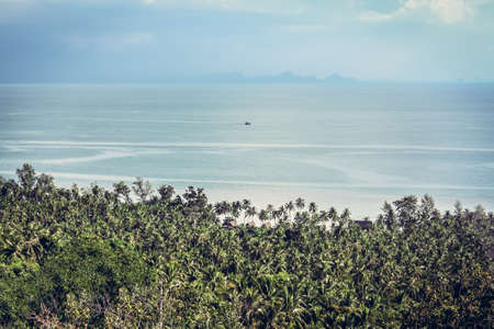 Landscape with palm trees on beach at tropical seaの写真素材