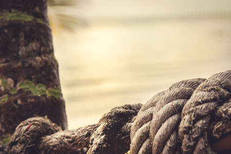 old marine rope on blurred background of the sunset sky on shore of a tropical sea with palm treeの写真素材