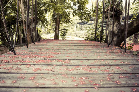 Old wooden suspension bridge with ropes in tropical forest covered with red flowers with selective focus on wooden planks and blurred backgroundの写真素材