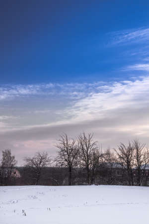 Winter rural landscape with snow trees on horizon and dramatic sky during twilightの写真素材