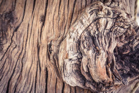Abstract aged wood textured background with cracksの写真素材