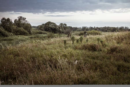 Rural landscape during hunting season with hunters in tall grass in rural field with dramatic sky during duskの写真素材
