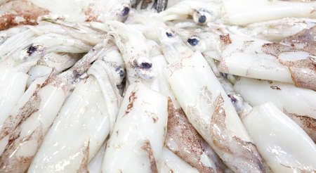 Fresh squid in exposed in market Barcelonaの写真素材