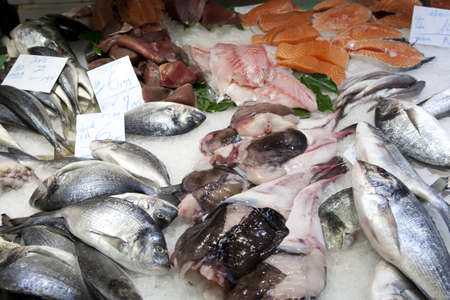 Fresh fishes in a market の写真素材