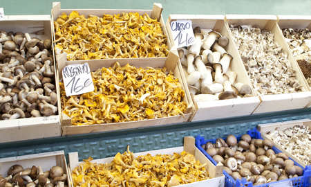 Mushrooms exposed in market Barcelona の写真素材