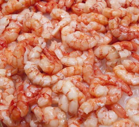 Shrimps  The fish market  の写真素材