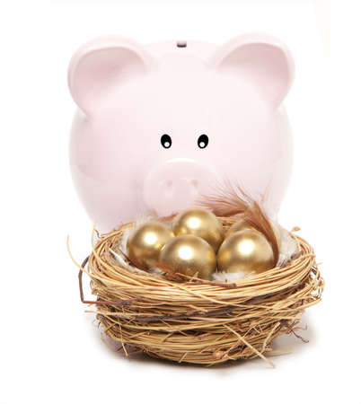 Pink piggy bank and golden egg in the nest の写真素材