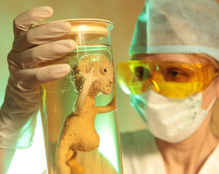 Alien (focus on alien) の写真素材