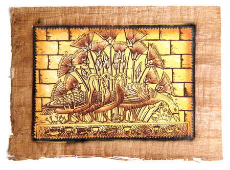 Papyrus. Old natural paper from Egypt.  Isolated over white の写真素材