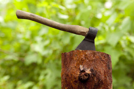 Ax in a log on the background of green grass