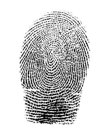 Real fingerprint in white background Super macroの写真素材