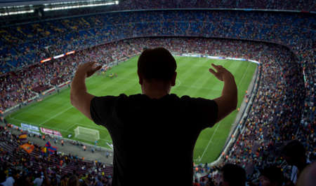 Happy soccer fans in the stadium
