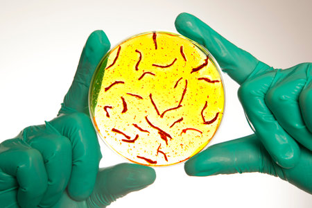 Scientist holding a petri dish with virus cells
