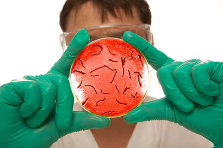 Scientist holding a petri dish with virus cells