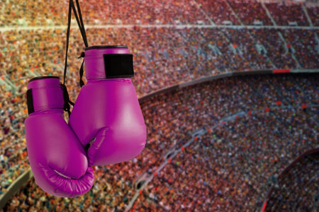 Pair of purple boxing gloves hanging against the backdrop of the stadium