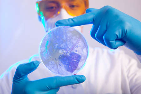 Scientist holding a petri dish with virus cellsの写真素材