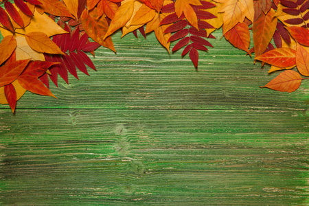 Autumn leaves over old vintage wooden background with copy space