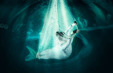 mermaid in fishing nets underwater. Horrible dreamの写真素材