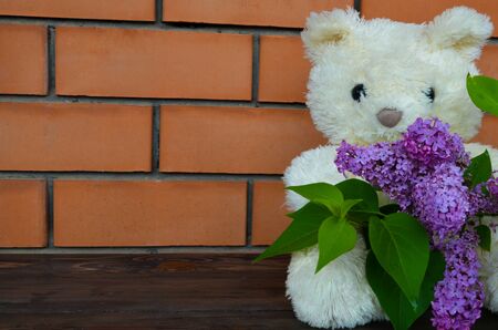 white toy bear with a branch of blooming lilac on a brick wall backgroundの写真素材