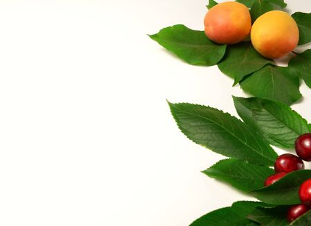 yellow apricots and dark red cherry on a white backgroundの写真素材