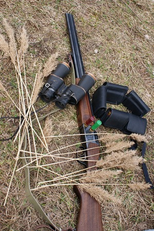 Gun, binoculars, cartridges lay on the grass の写真素材