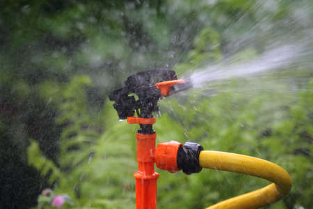 Grass sprinkler.の写真素材