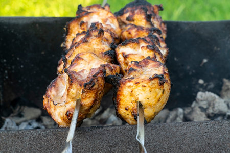 Marinated chicken kebab is cooked on the grill on the coals. Kebab skewer is popular all over the...