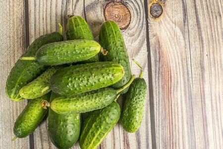 Fresh cucumbers on a wooden table. Autumn harvest thanksgiving Dayの写真素材