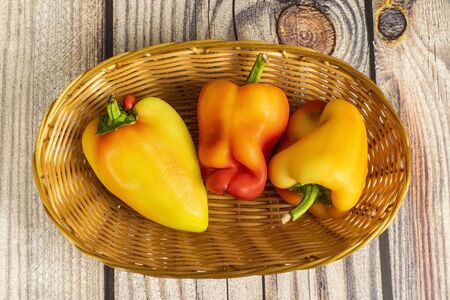 Sweet pepper in a wicker basket on a wooden table. Autumn harvest thanksgiving Day.の写真素材