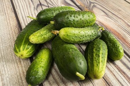Fresh cucumbers on a wooden table. Autumn harvest thanksgiving Dayの写真素材
