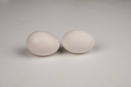 Chicken egg on white background. Not isolate. Playing Cards full deck and back white background mockupの写真素材