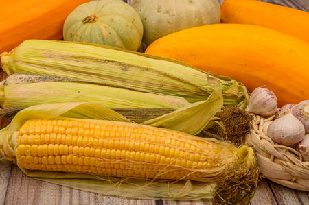 An unshelled ear of corn, young garlic in a wicker basket, marble pumpkins and yellow zucchini on...