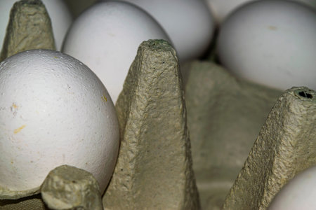 Chicken eggs in a cardboard box. Close up